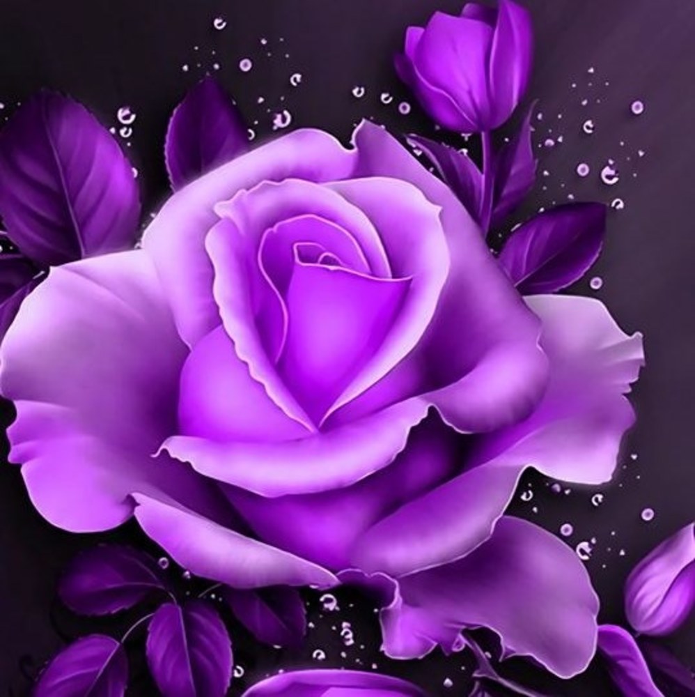 Meet your Posher, Sandi